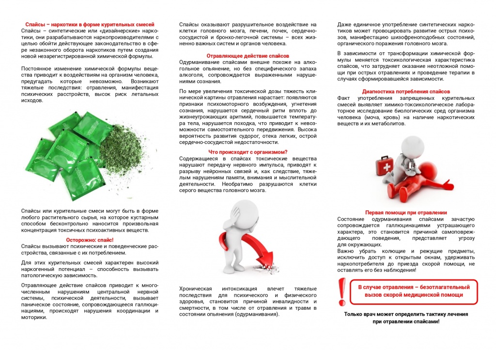 спайс плакат_pages-to-jpg-0002.jpg